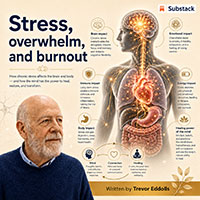 Stress, overwhelm, and burnout