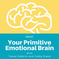The primitive emotional brain