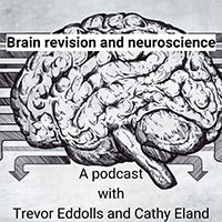 Brain revision and neuroscience