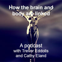 How the brain and body are linked