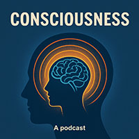 Consciousness Consciousness